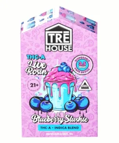 auto draft